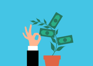 Money tree